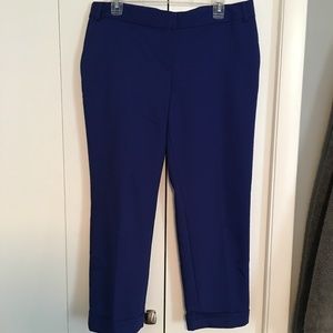 Express Cobalt Blue Dress Pant